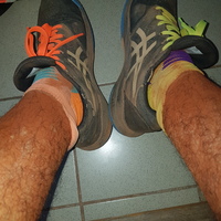Avatar Utente