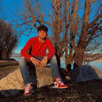 Avatar Utente