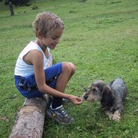 Avatar Utente