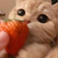 Avatar Giocatore