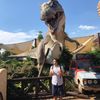 Avatar Utente