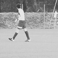 Avatar Utente