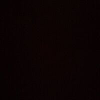 Avatar Utente