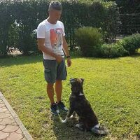 Avatar Utente