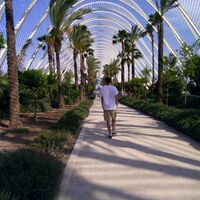 Avatar Utente
