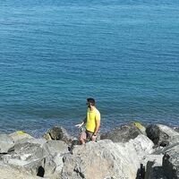 Avatar Utente