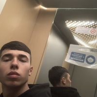 Avatar Utente