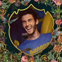Avatar Utente