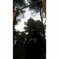 Avatar Utente