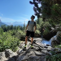 Avatar Utente