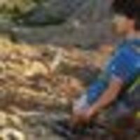 Avatar Utente