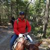 Avatar Utente