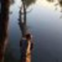 Avatar Utente
